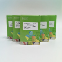 新型快速酵母转化试剂盒（酿酒酵母专用）