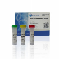 致泻性大肠埃希氏菌通用PCR试剂盒