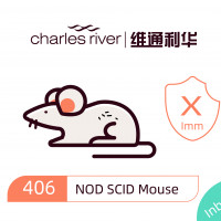 维通利华 NOD SCID小鼠 SPF级 免疫缺陷