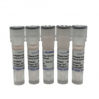 2x Realab Green PCR Fast mixtu