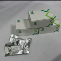 快速核酸裂解液