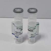 EZ poly™in vivo mRNA活体转染试剂（NBS