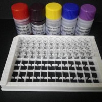 Elastase-2A免疫组化试剂盒