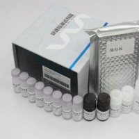 Bacterial DNA Kit （50） （Omega