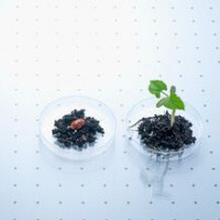 FineOut通用型植物基因组提取试剂盒