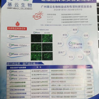 荧光酶实验转染套餐