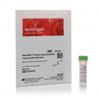 MitoSOX™ Green 线粒体超氧化物指示剂，用于活细