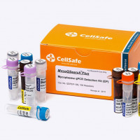 QGreen 2X qPCR Master Mix (Hig