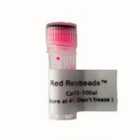 Lumafluor Red Retrobeads 荧光示踪微