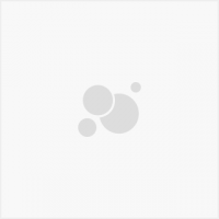 RESEARCH DIETS D12492 D12451 D