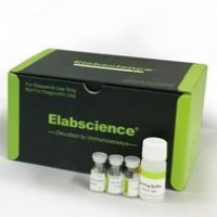 长臂生物素标记试剂盒
