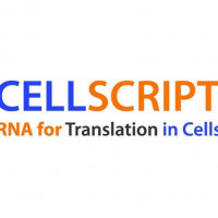 Cellscript试剂盒