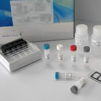 Endo-free Plasmid Maxi Kit(25)