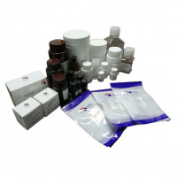 2×Taq PCR Master Mix（Green）