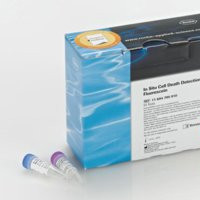 In Situ Cell Death Detection K