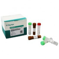 毕赤酵母残留DNA检测试剂盒（qPCR-探针法）