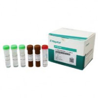 Vero残留DNA检测试剂盒（qPCR-探针法）
