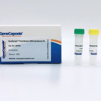 SureScript™ cDNA第一链合成试剂盒