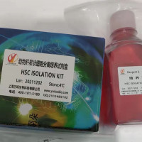 进口期货冰冻切片神经纤维免疫荧光染色（PGP9.5）试剂盒