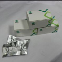 DNA恒温扩增反应试剂盒（试纸条型）