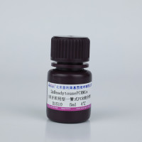 2xReadytousePCRMix(即开即用型一管式PCR