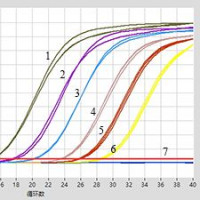 5×Fast DNA Probe qPCR Mix