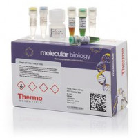 Thermo Scientific™ RevertAid™