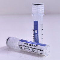 PolyToolTM mRNA Transfection R