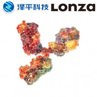 龙沙Lonza GS-CHO细胞表达系统 CHOK1SV G