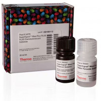 Thermo Scientific 34579 SuperS