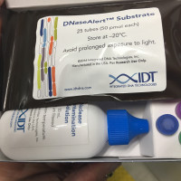 DNaseAlert™ Substrate Nuclease