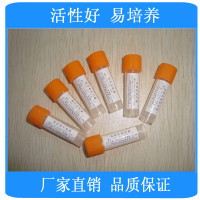 铜绿假单胞杆菌 [CMCC10104] 【优惠销售优质标准菌