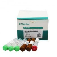 E.coli残留DNA检测试剂盒（qPCR-探针法）