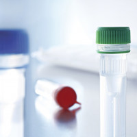 virotype PRRSV RT-PCR Kit (24)
