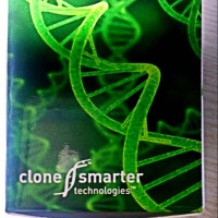 CloneSmarter TOPO Omni载体克隆试剂盒（