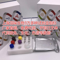 猴逆转D型病毒（SRV/D）核酸检测试剂盒（冻干型/RT-P