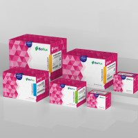 Biospin 组织细胞DNA/RNA共提取试剂盒