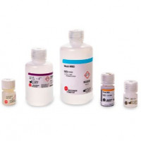 RNAClean XP RNA核酸纯化试剂盒（40mL）