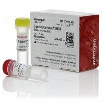 Invitrogen：L3000015-1.5mL 脂质体3
