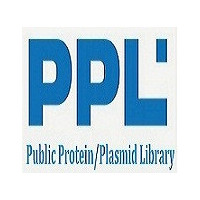 plenti-CMV-ZYG11B