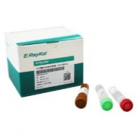 CHO残留DNA检测试剂盒（qPCR-探针法）