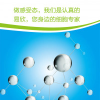 OrigamiB(DE3) Chemically Compe