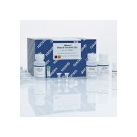 69106   DNeasy Plant Mini Kit
