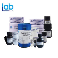 Hygromycin B (50 mg/mL) 潮霉素 B（