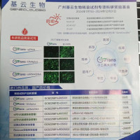 siRNA敲减转染套餐1