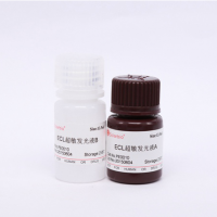 ECL Plus超敏发光液