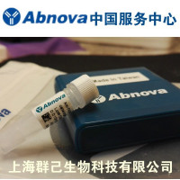 ERBB2/CEN 17 CISH Probe Kit