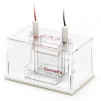 ANALYTIK JENA Biometra Minigel-Twin System for 2 gels (1.0 mm)