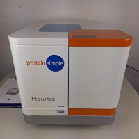 Used PROTEINSIMPLE Maurice