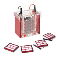 ANALYTIK JENA Tankblot Eco-Mini system EBC for up to 4 gels